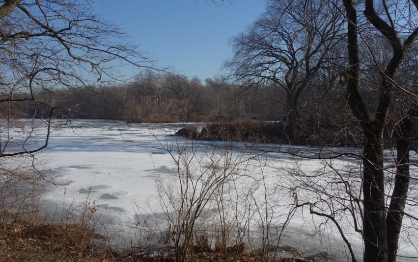 Gar Pond-White Springs必去景点