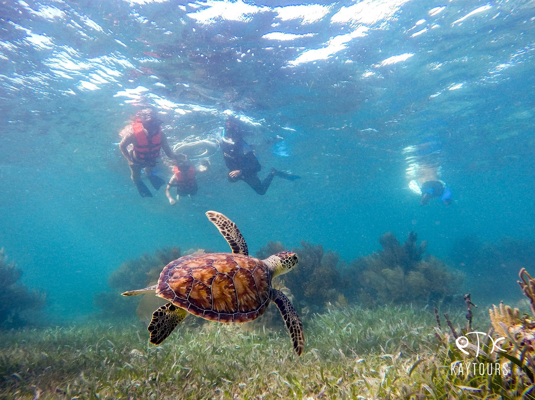 Kay Tours Mexico-普拉亚德尔卡曼必去景点