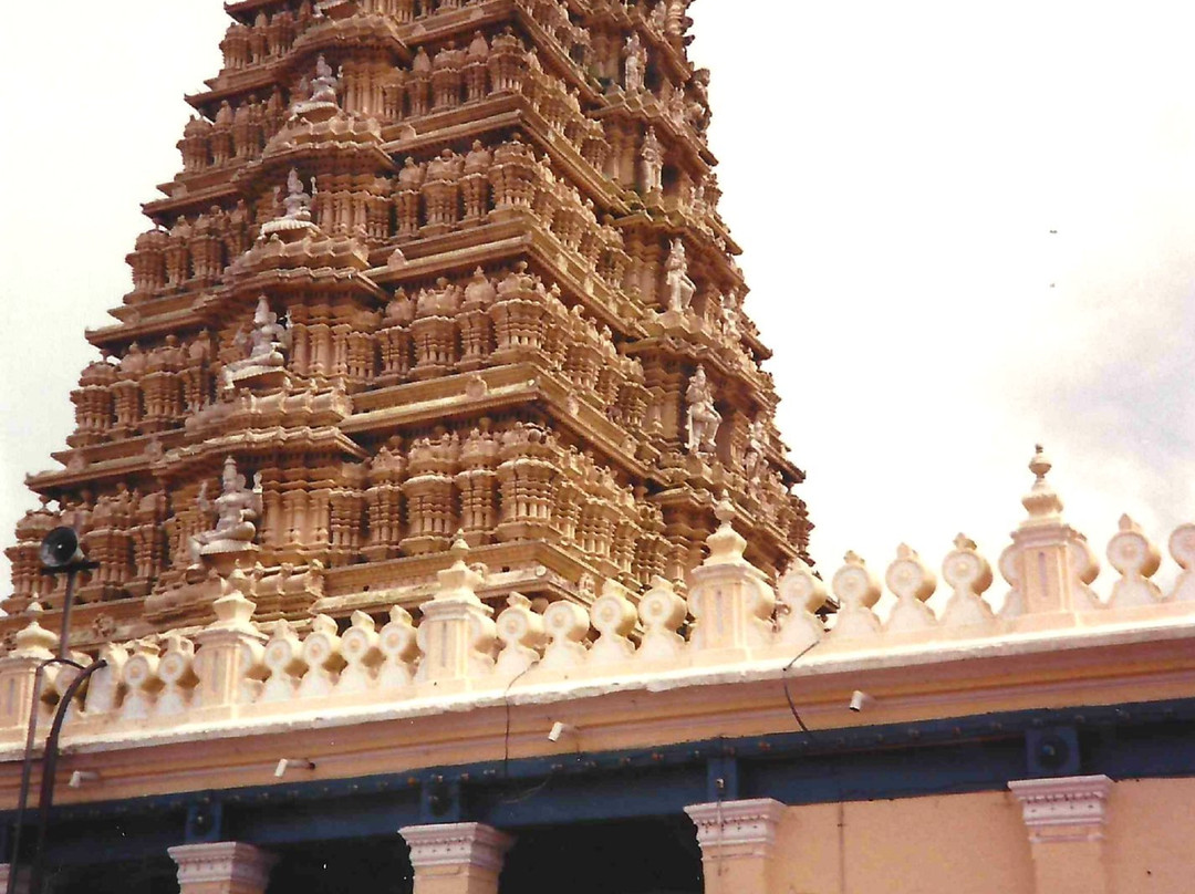 Lakshmiramana Swamy Temple景点图片