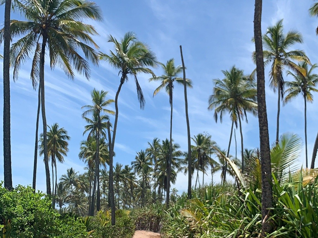 Cassange Beach-Barra Grande必去景点