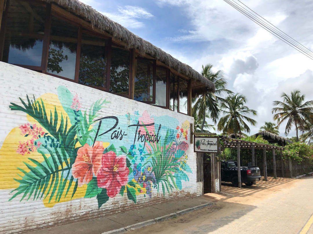 Pousada Pais Tropical主图