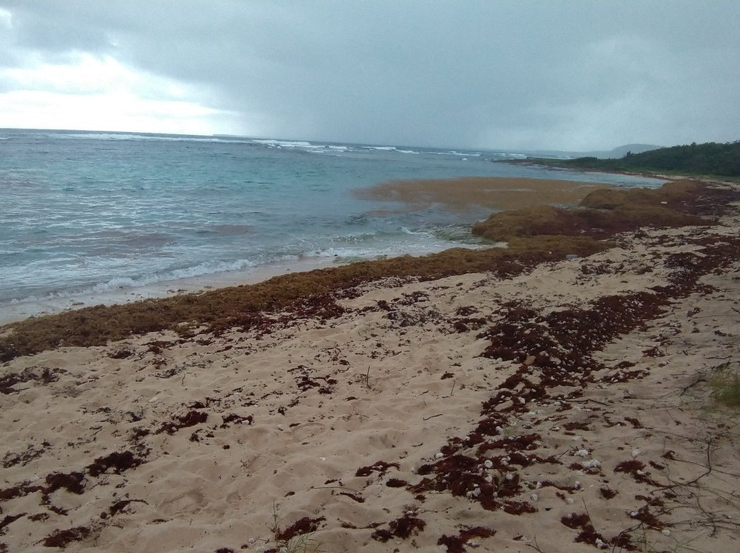 La Plage De L'anse Maurice景点图片