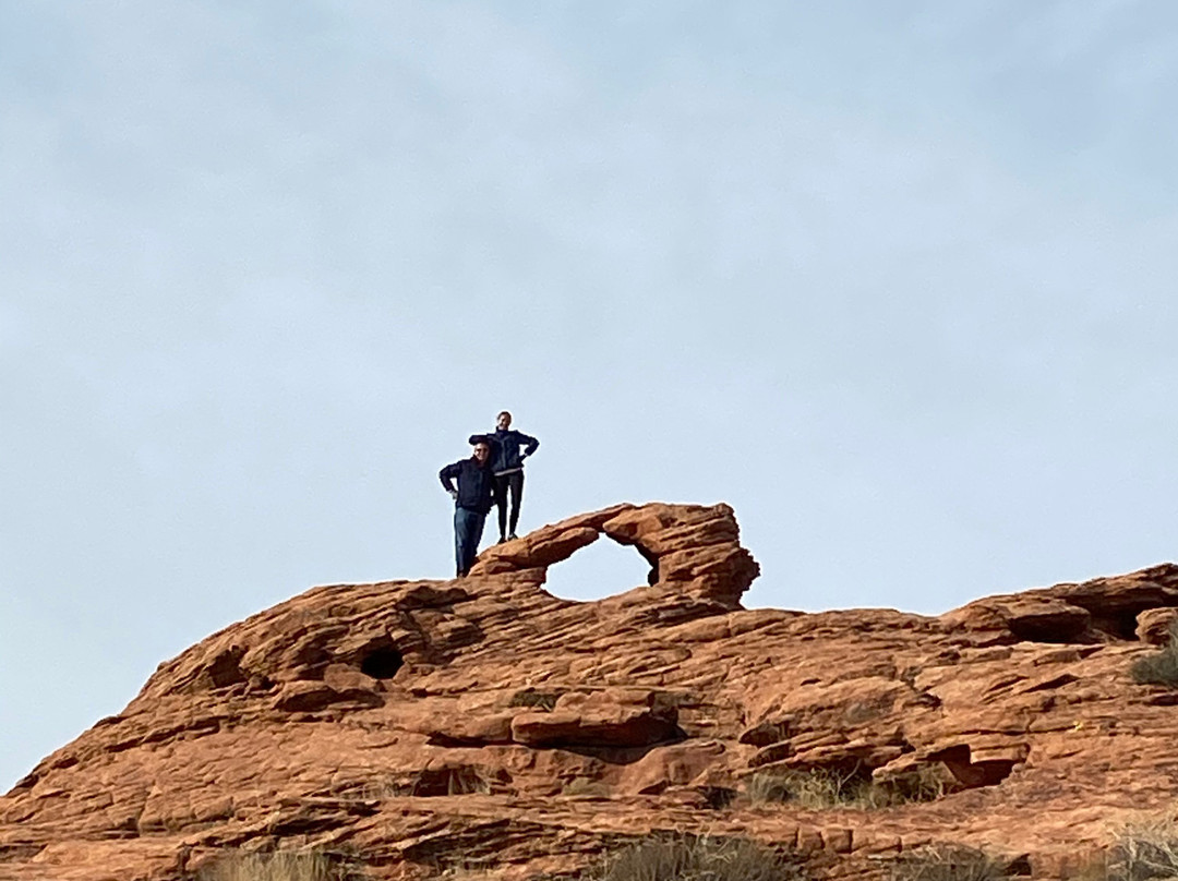 Red Hills Desert Garden景点图片