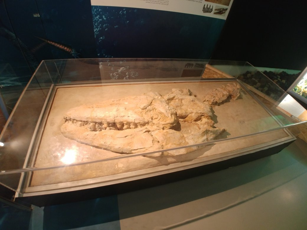 Carasso Science Park-贝尔谢巴必去景点