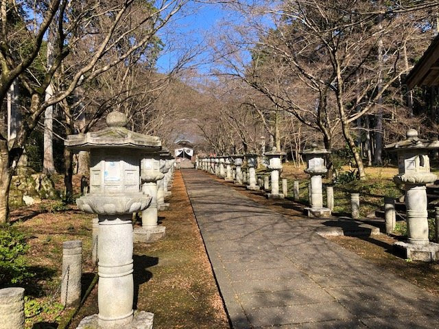 Kozanji Temple-丹波市必去景点