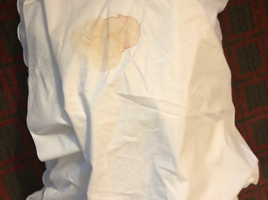 Great Cedar Hotel at Foxwoods主图