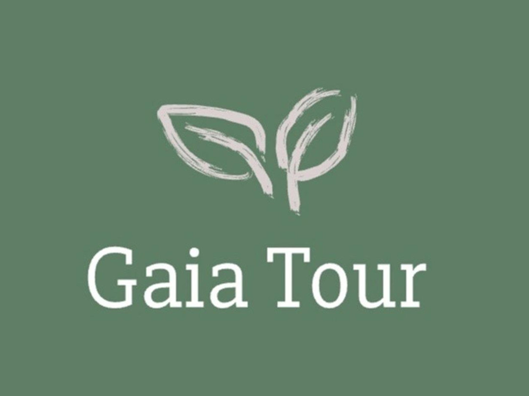 Gaia Tour景点图片