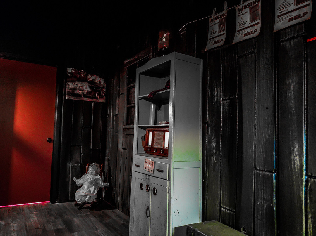 The Ocala Escape-奥卡拉必去景点