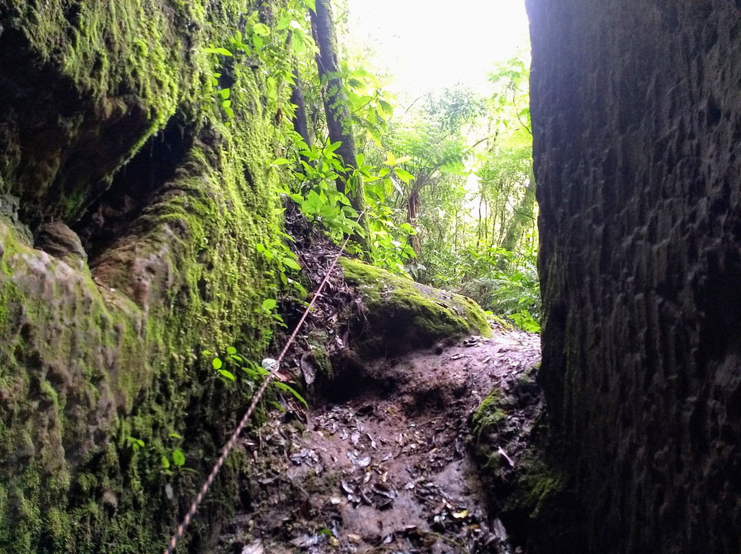 Parque Morro do Ouro-Apiai必去景点