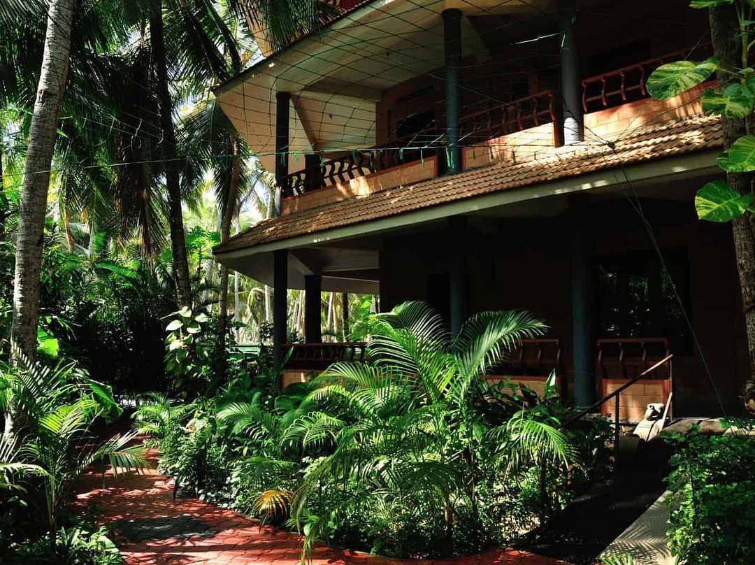 Wild Palms On Sea主图