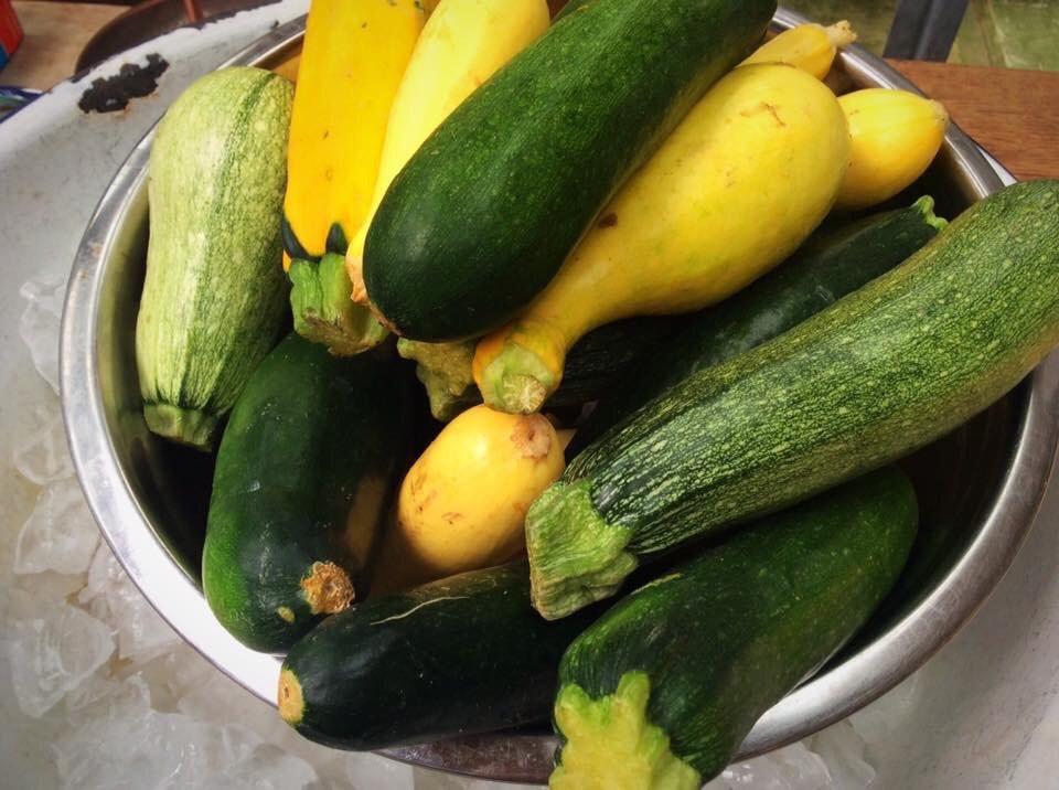 Two Clay Birds Bakery & Garden Market