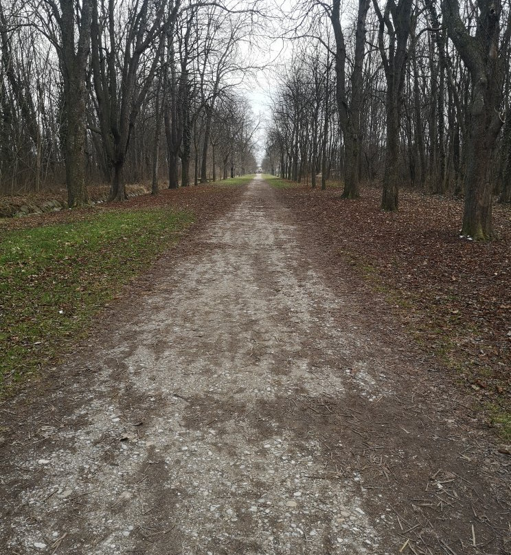 Akademiepark Wiener Neustadt-维也纳新城必去景点