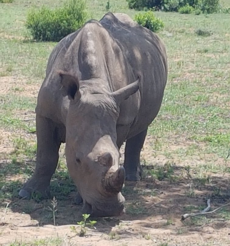 Welgevonden Nature Reserve-瓦尔沃特必去景点