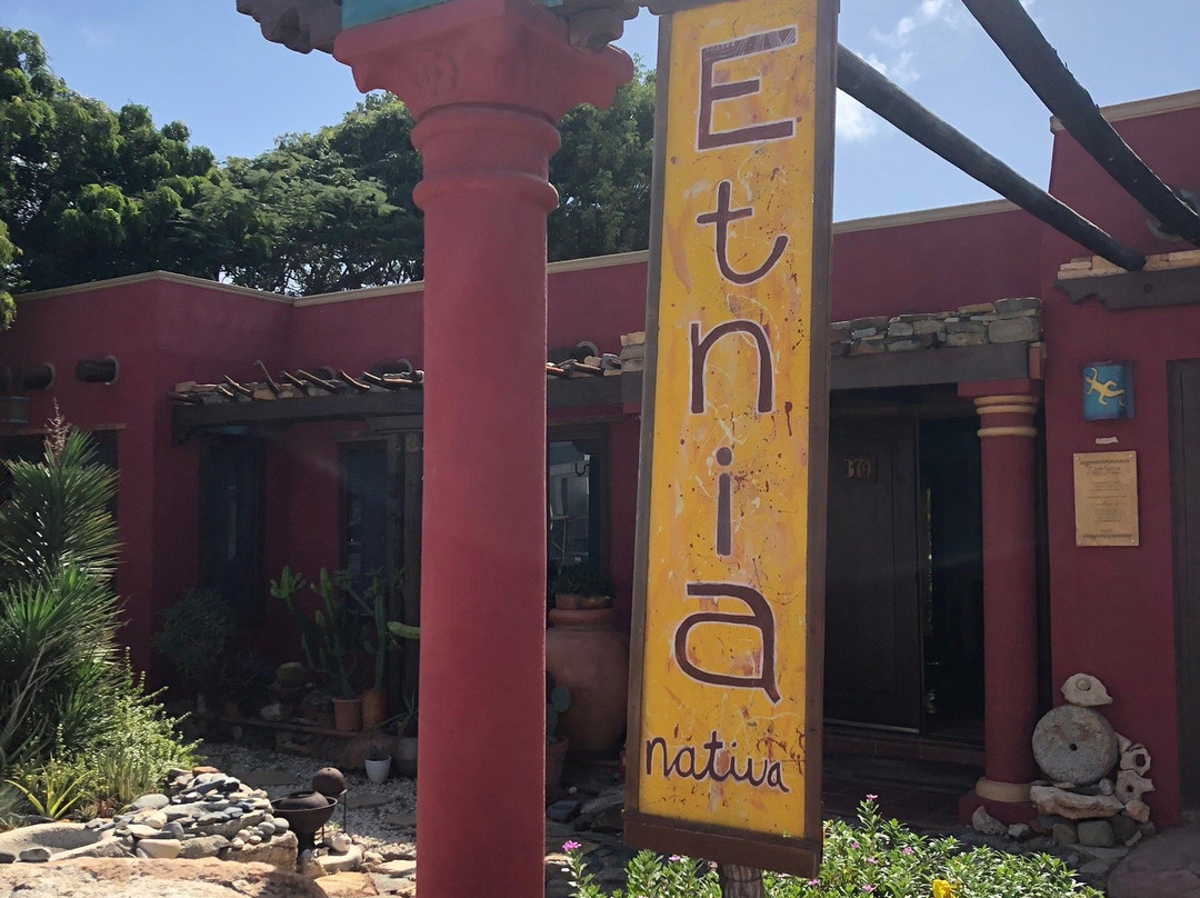 Private Island Tours Aruba-奥腊涅斯塔德必去景点