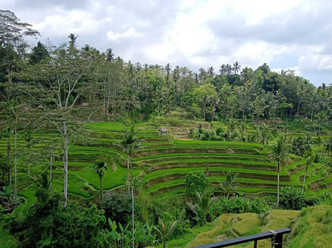 Penida Bali Tour-珀尼达岛必去景点