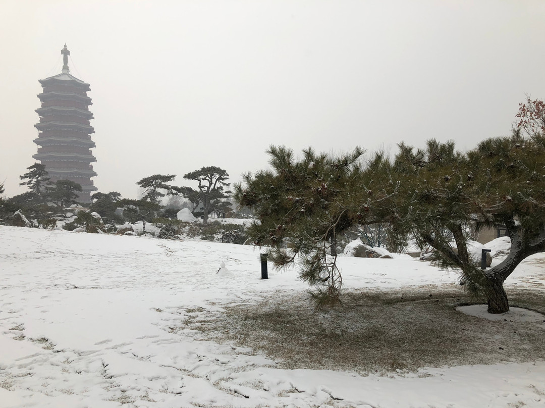 詹妮的汽车租赁服务-北京市必去景点