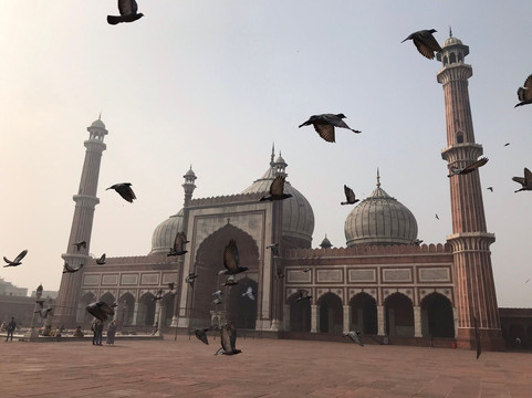 Exclusive India Tours-新德里必去景点