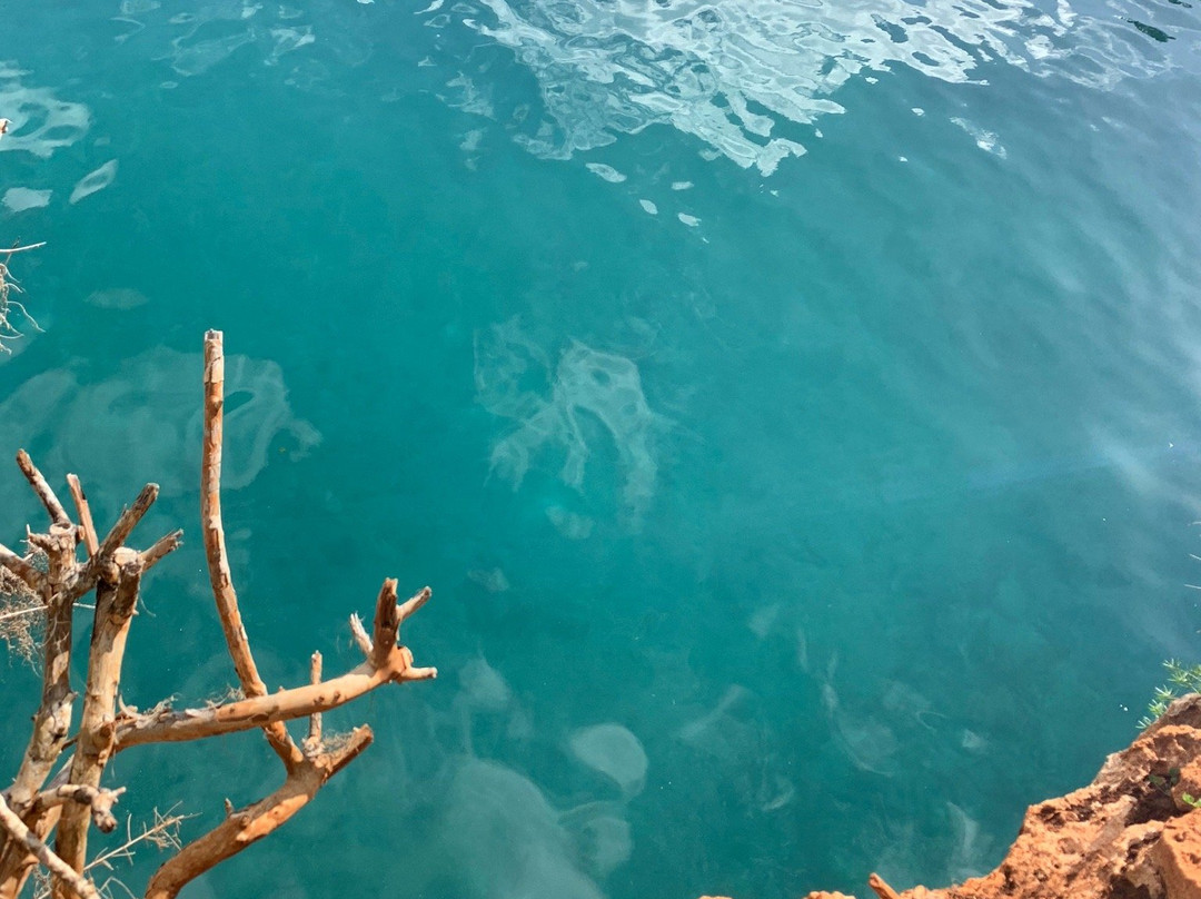 Blue Hole Park-百慕大必去景点