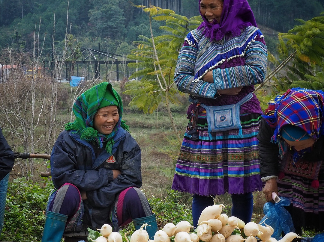 Bac Ha Trekking Tour景点图片