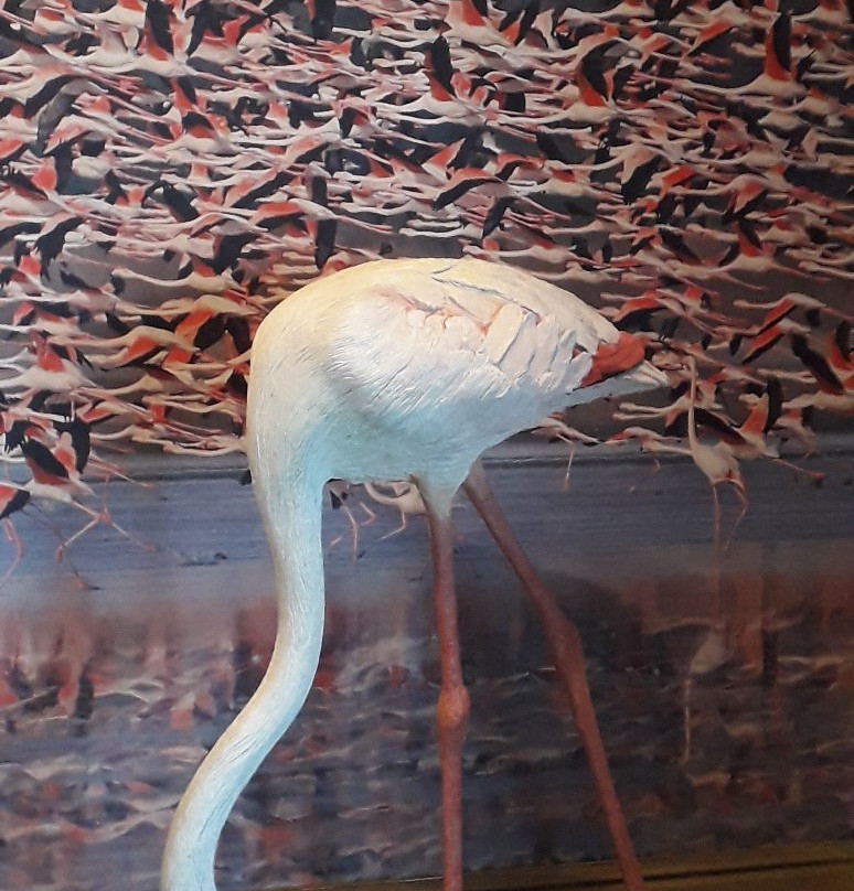 Akrotiri Environmental Education Centre-Akrotiri必去景点