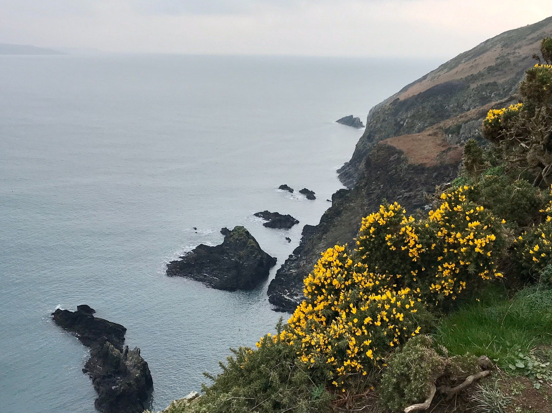Dinas Head (Dinas Island)景点图片