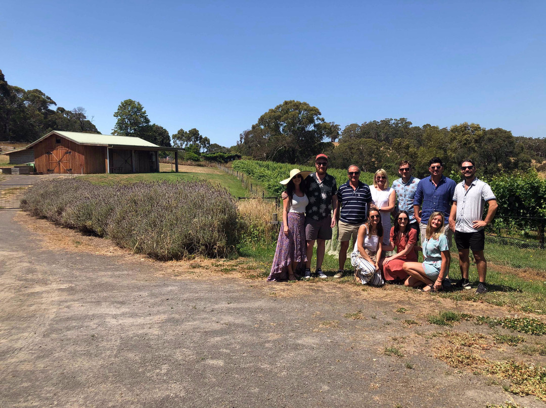 Otway Winery Tours-洛恩必去景点