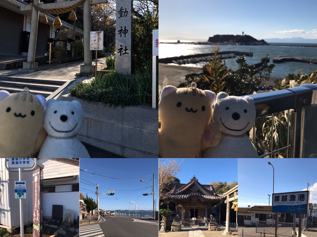 Koyurugi Shrine-镰仓市必去景点