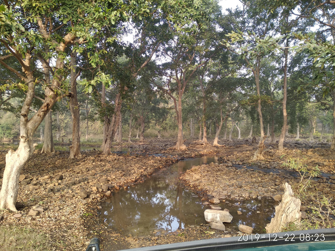 Panna Tiger Reserve旅游攻略图片