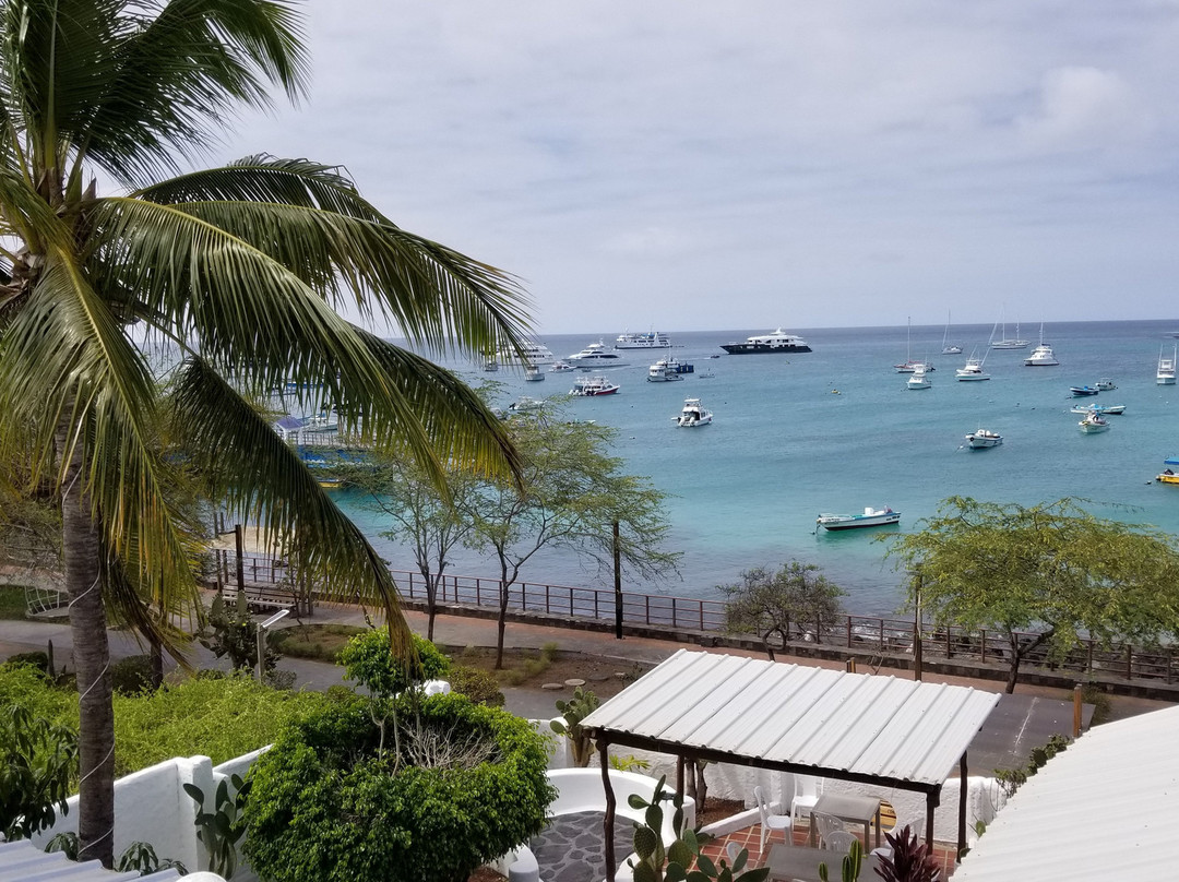 Casa Opuntia Galapagos主图