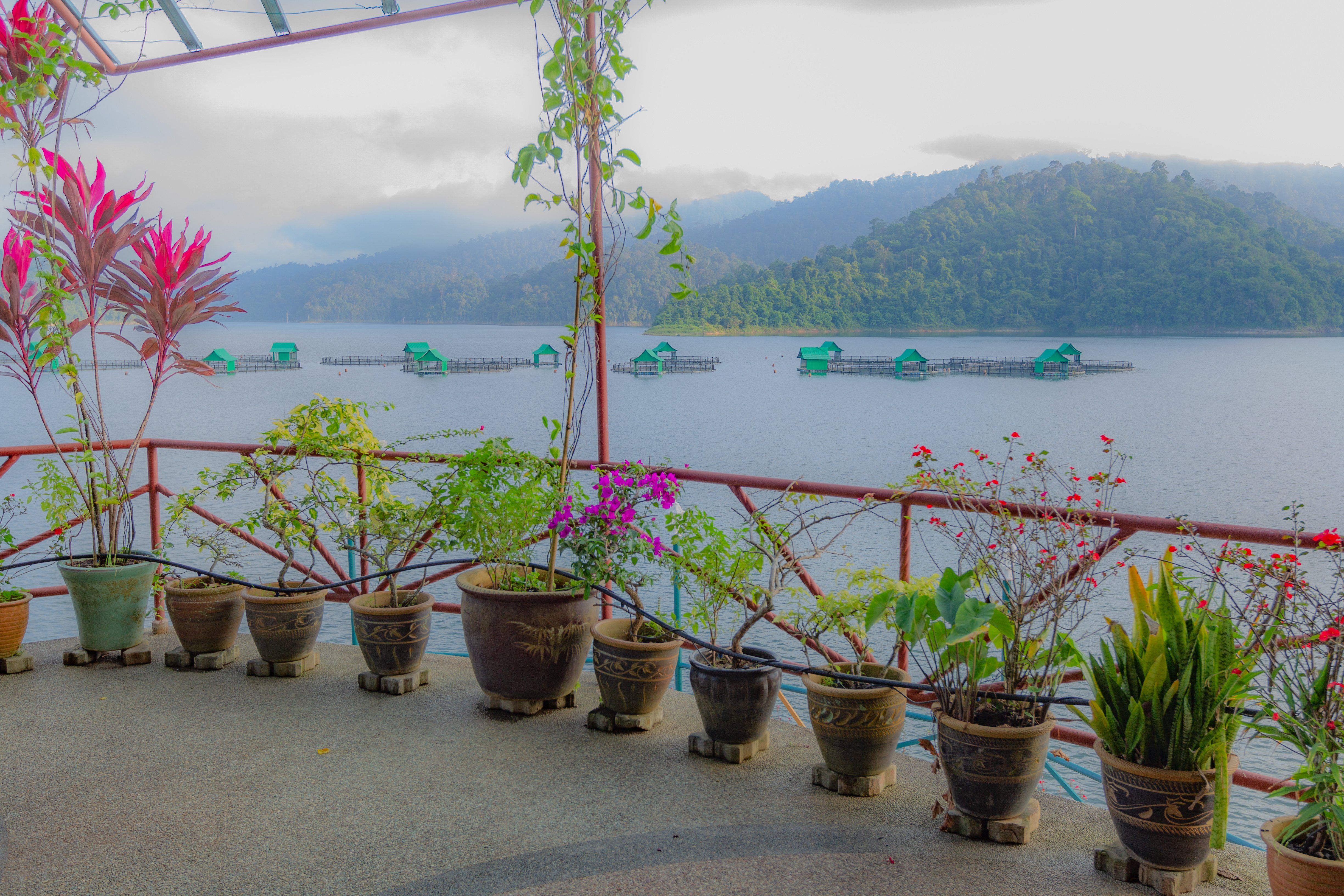 Belum Eco Resort-餐饮