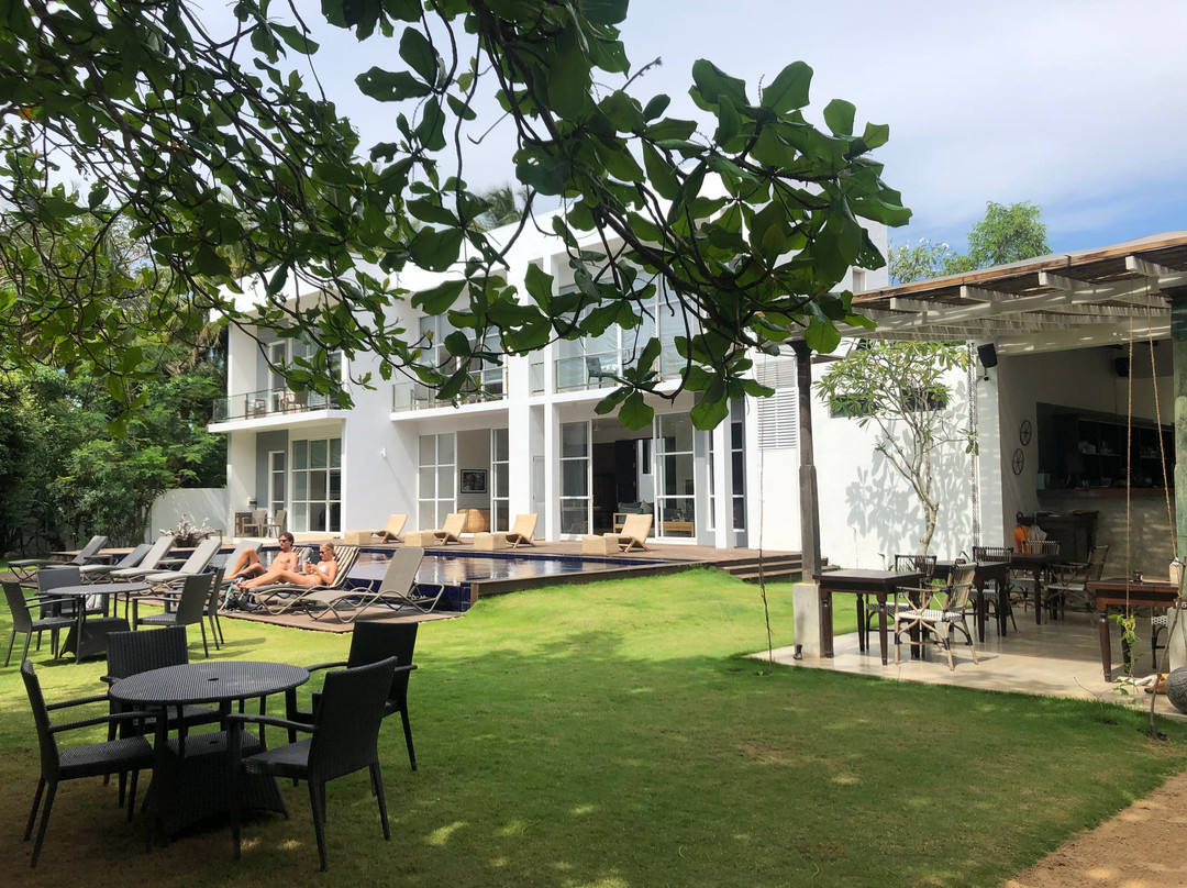 Zephyr Talalla主图