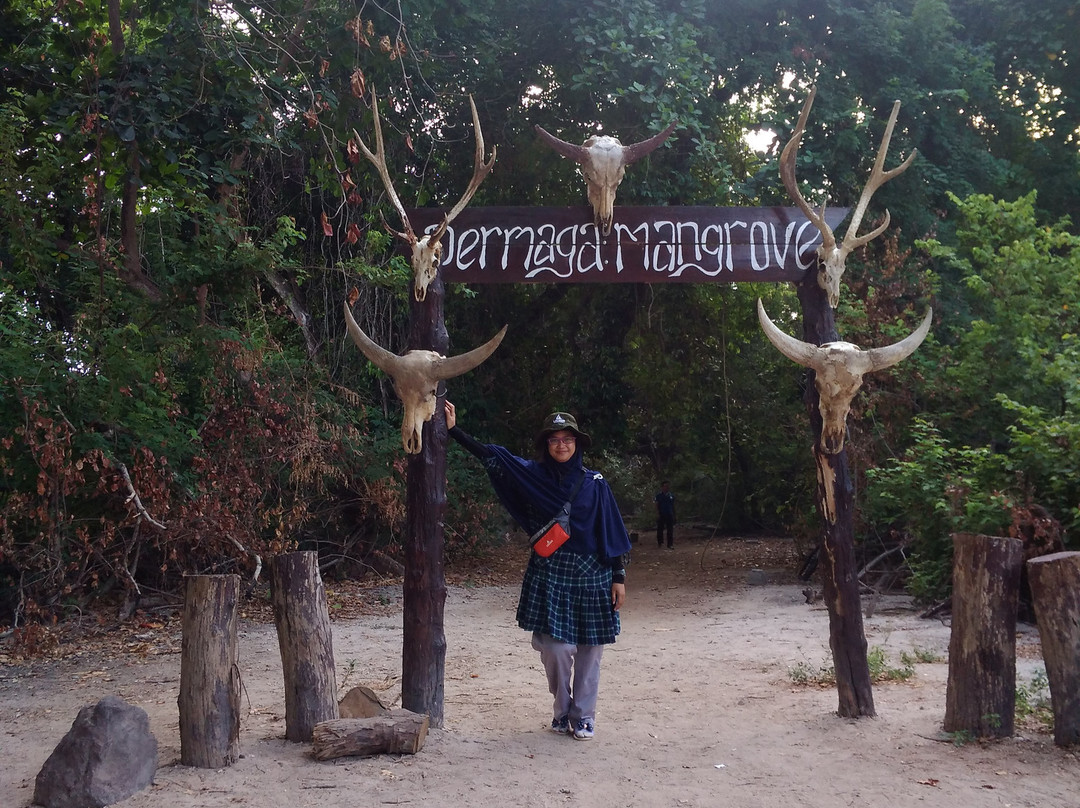 Ijen Unique Tour-巴纽旺宣必去景点