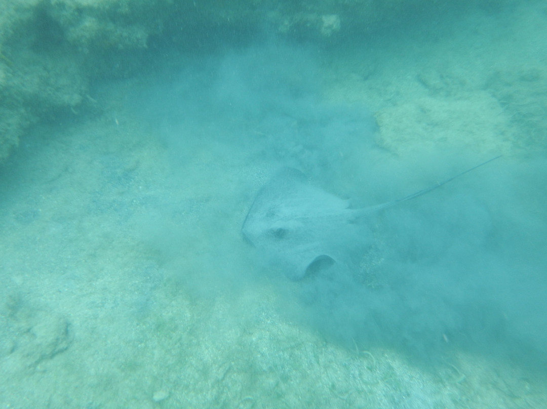 Green Beach-维切克岛必去景点