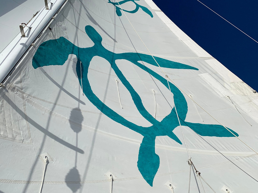 Kona Sail Charters-凯鲁瓦-柯纳必去景点