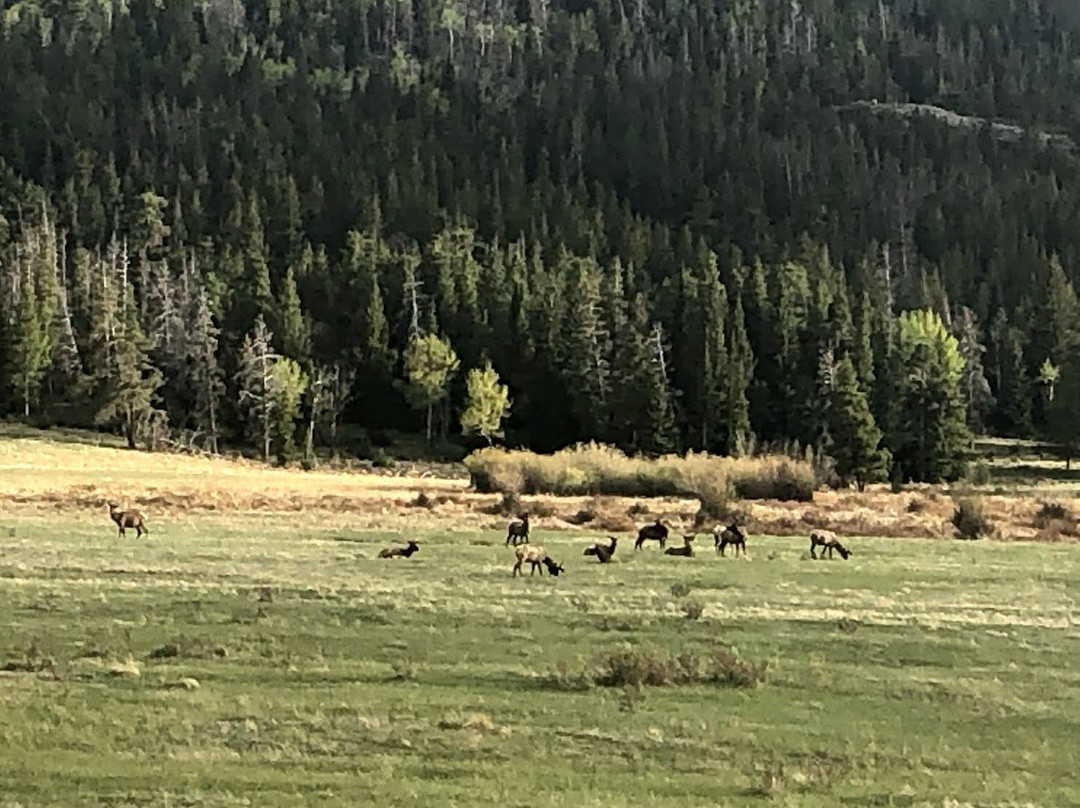 Horseshoe Park-落基山国家公园必去景点