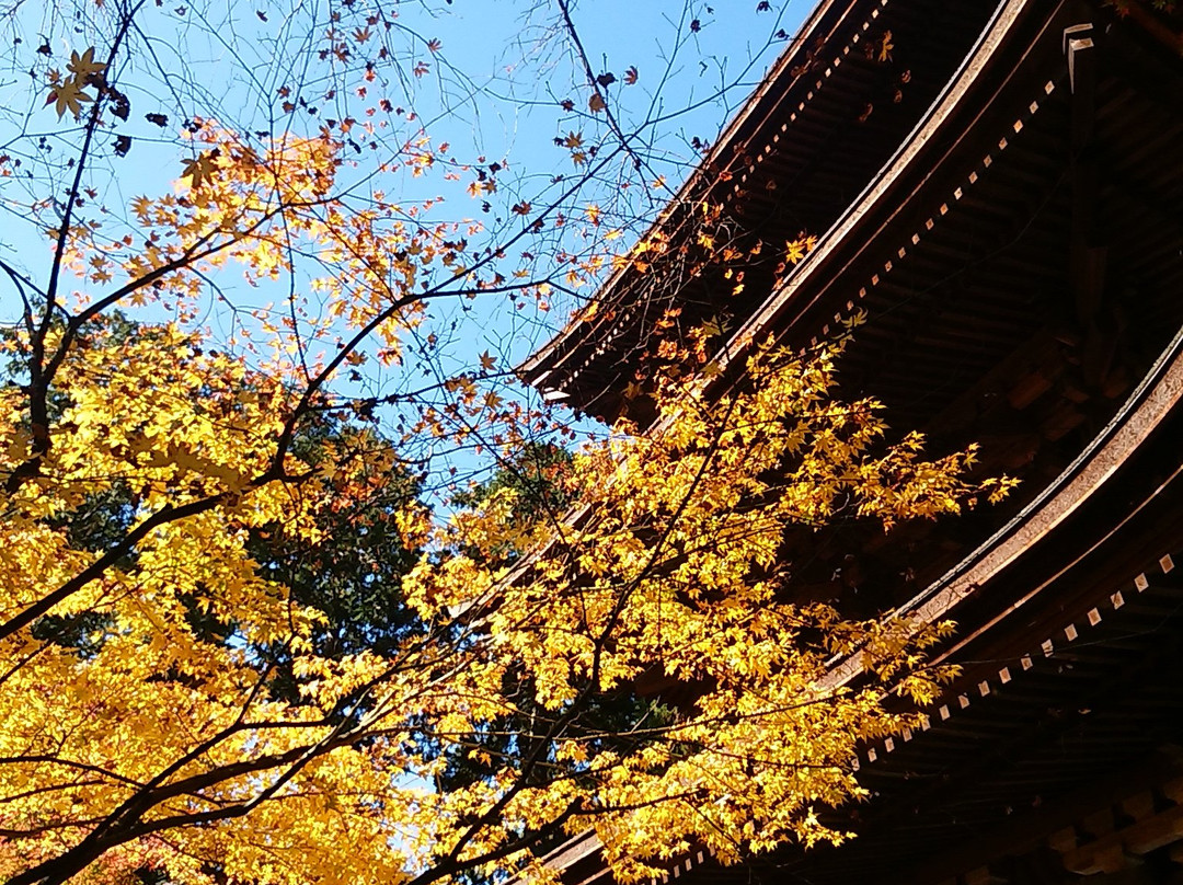 Kongorin-ji Temple 3 Storey Tower景点图片