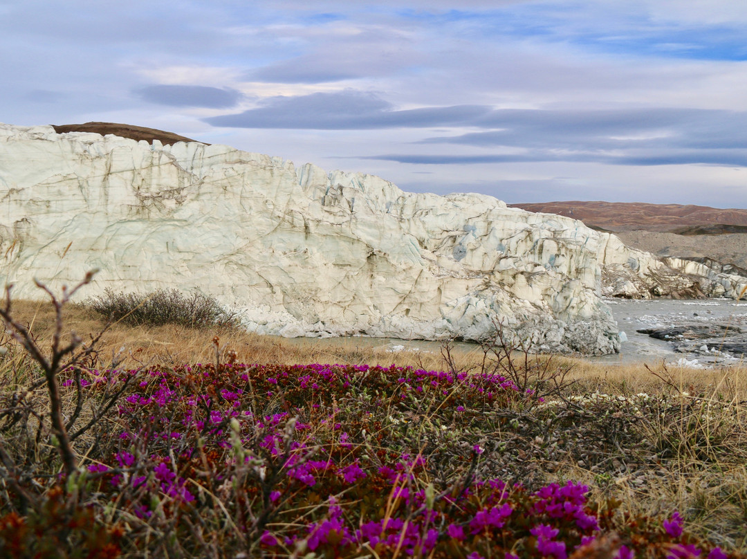 Albatros Arctic Circle景点图片