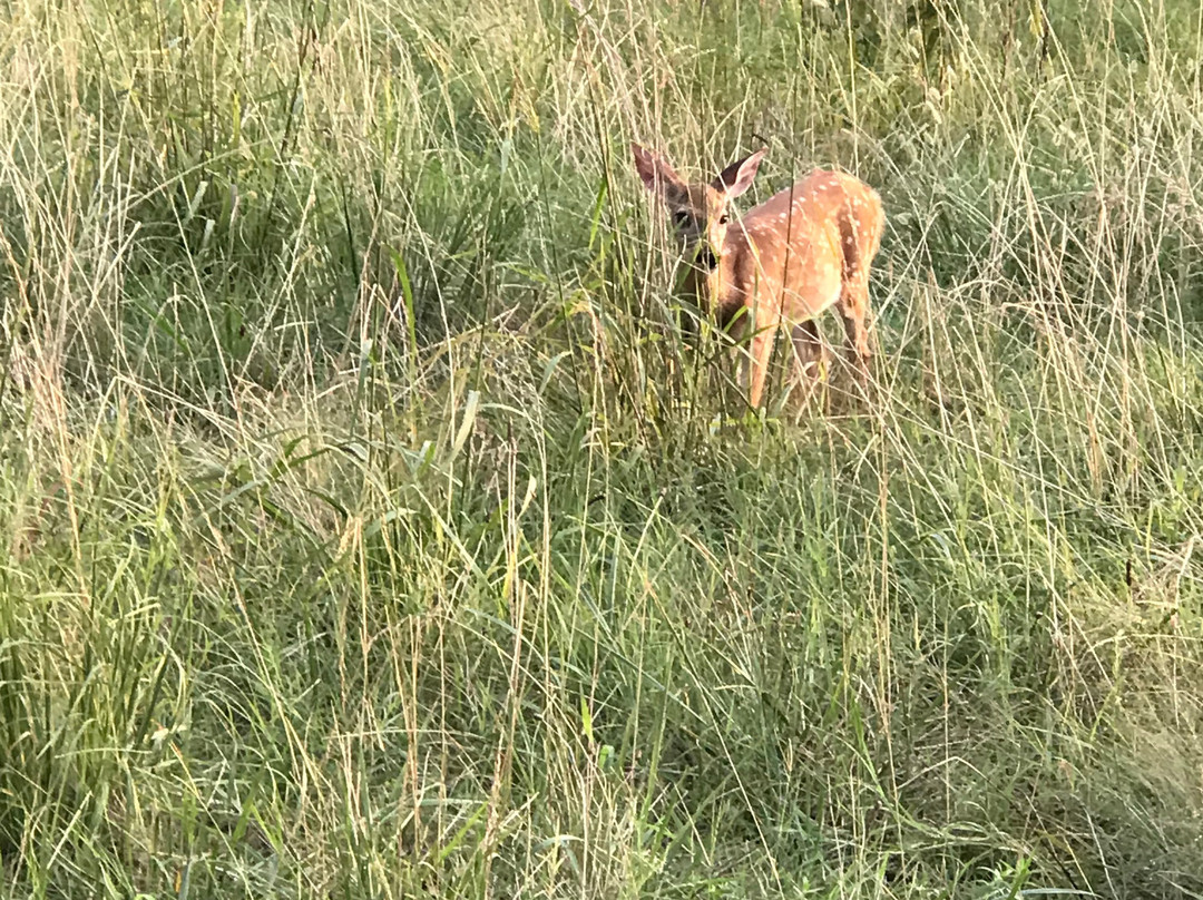 Fort Smallwood Park-Pasadena必去景点
