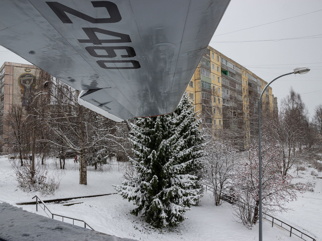 Monument to Airplane TU-104A景点图片