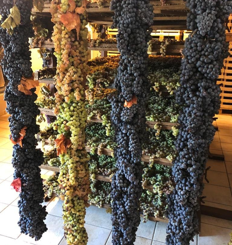 Azienda Agricola Giuseppe Quintarelli景点图片