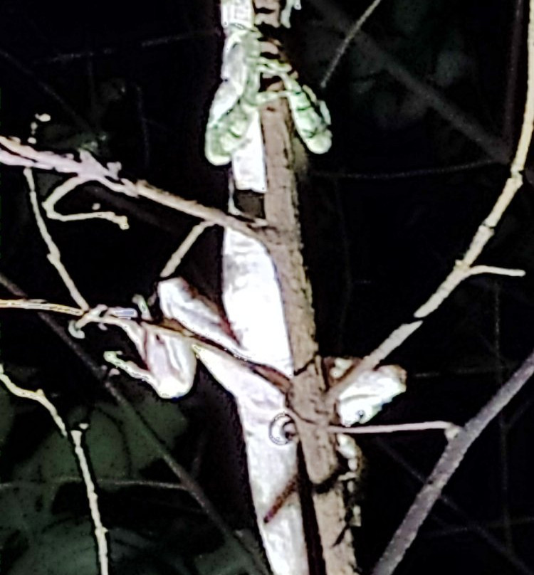 Monteverde Experts-Los Tornos必去景点