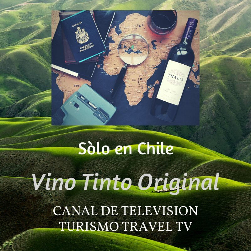 恩特维纳斯酒店主图