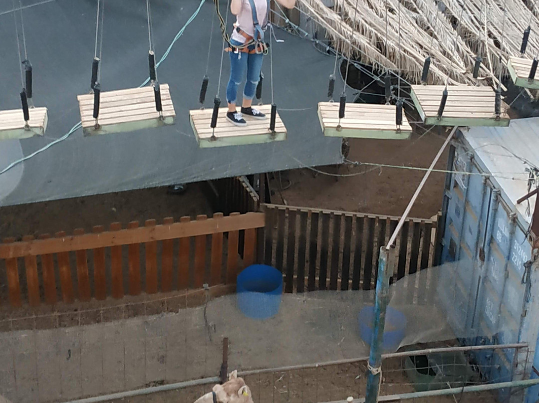 Camel Ranch Eilat-埃拉特必去景点