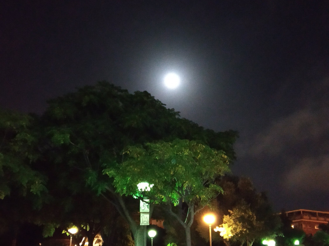 Petrer Castle景点图片