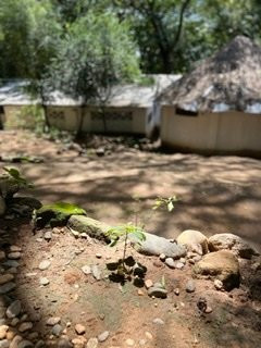 Marich旅游攻略图片