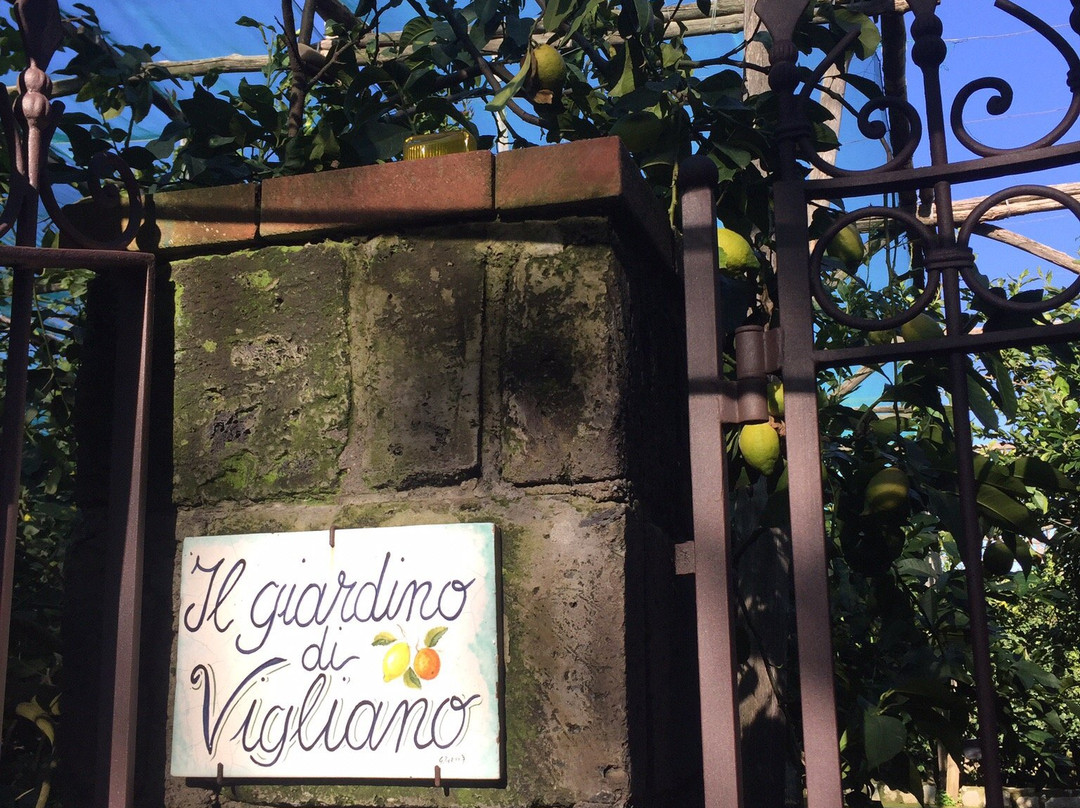 Agriturismo "Il Giardino di Vigliano"主图