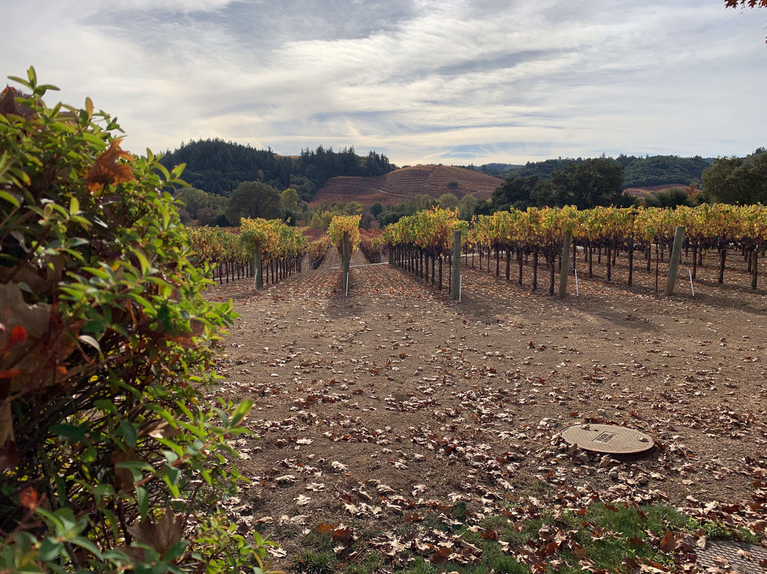 Dutcher Crossing Winery-希尔兹堡必去景点