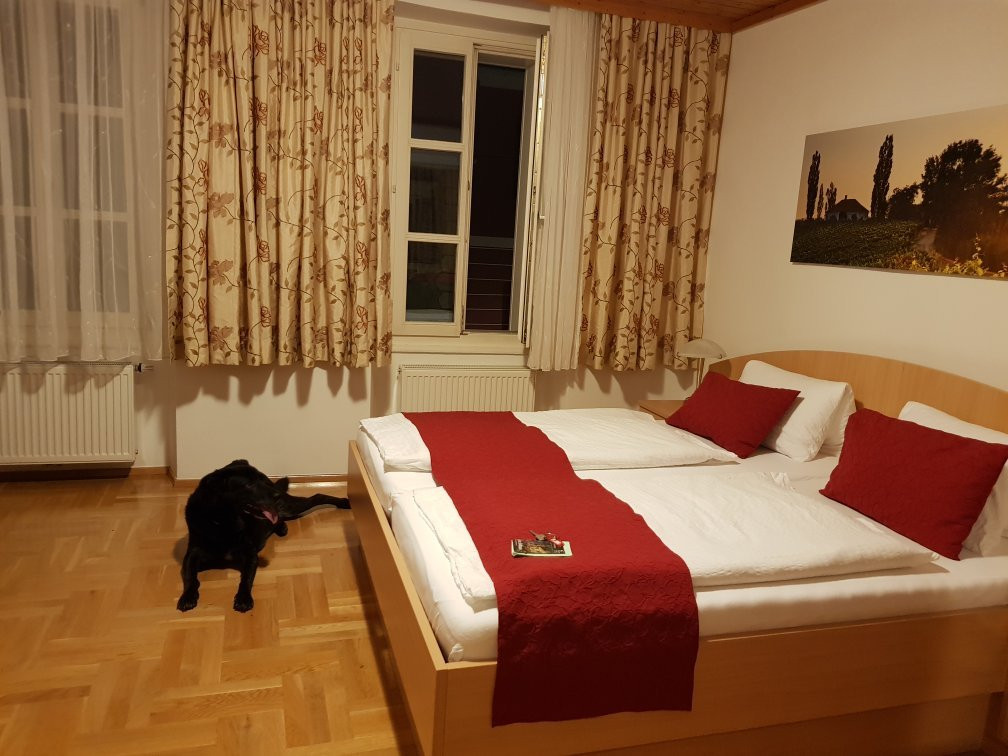 Gästehaus Ferk主图