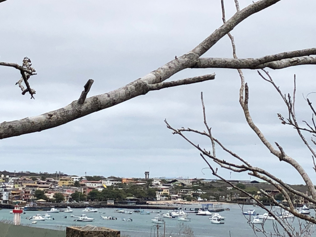 Estatua de Charles Darwin-Puerto Baquerizo Moreno必去景点