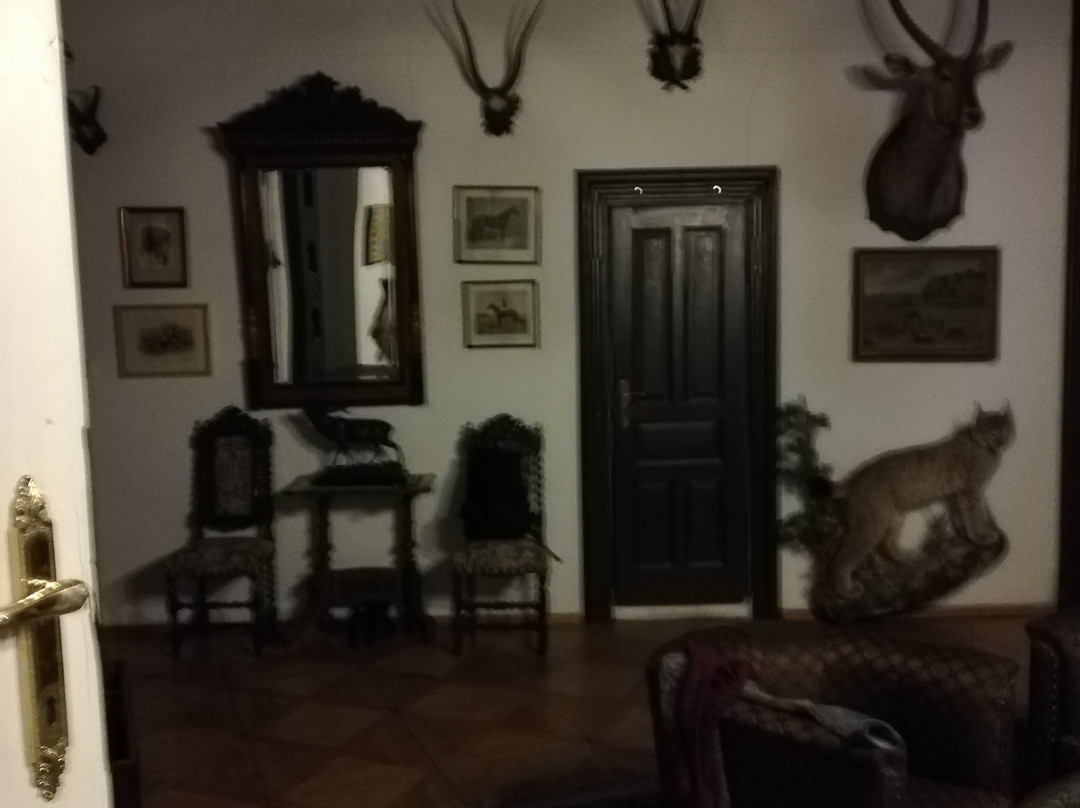 Vysocina Region旅游景点-Zamek Usobi